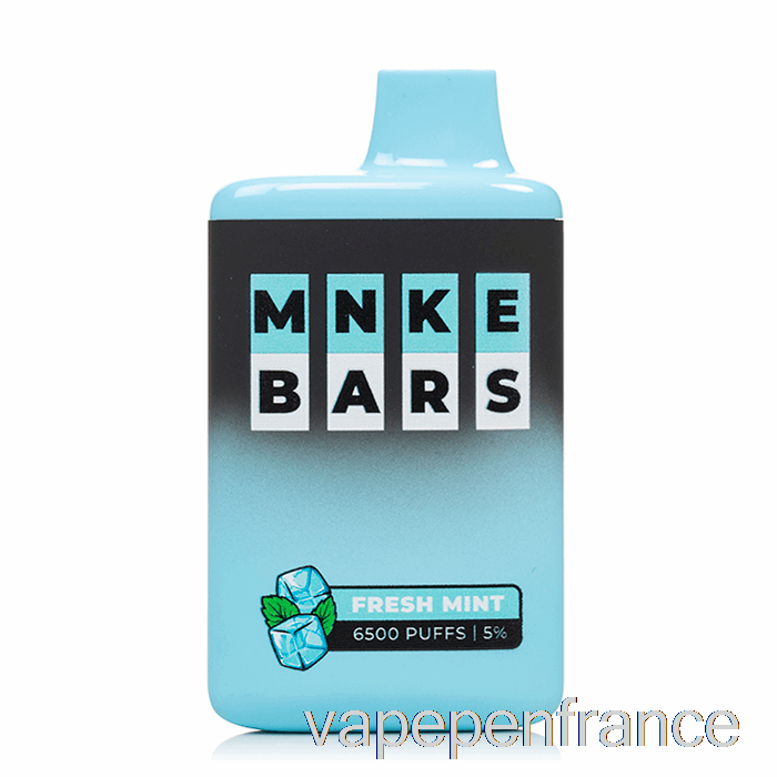 Mnke Bars 6500 Stylo Vape Jetable à La Menthe Fraîche